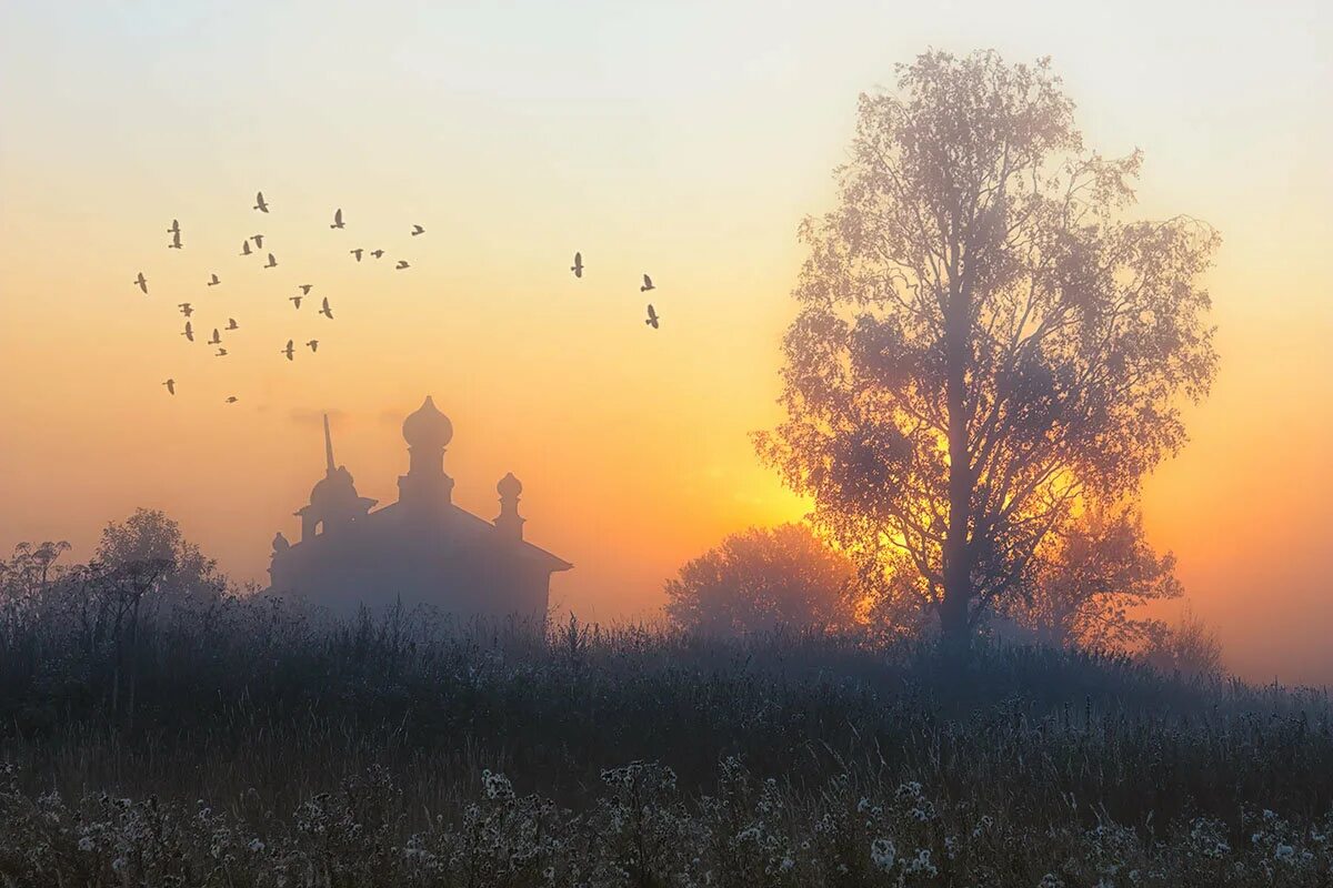 Край неба алеет светлеет воздух. Село Черкизово храм на рассвете. Птицы над храмом. Храм на закате. Пейзаж рассвет.