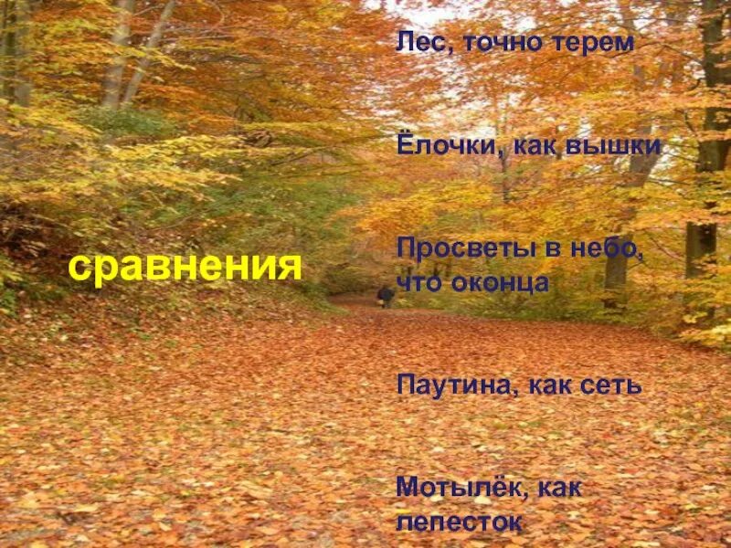 Лес сравнение и эпитет