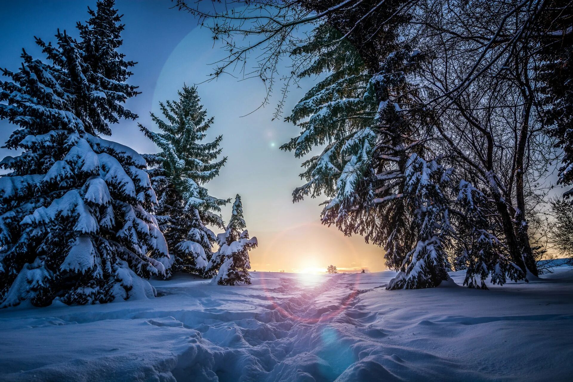 Вечер декабрь. Красивая зима. Зимний лес. Зимний пейзаж. Красивый зимний лес.