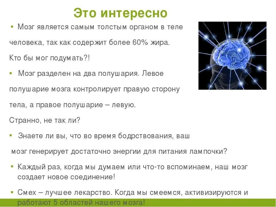 Факты про мозги. Интересные факты о мозге. Интересная информация о головном мозге. Факты о нервной системе. Интересные факты о мозге человека.