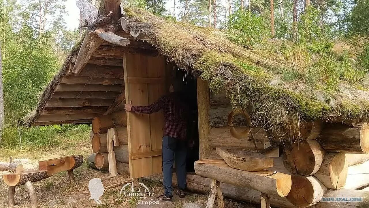 Лесная изба адвоката егорова. Лесная изба адвоката егорова. Лесная изба адвоката егорова. Изба адвоката. Изба адвоката.
