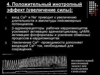 Хронотропное действие это