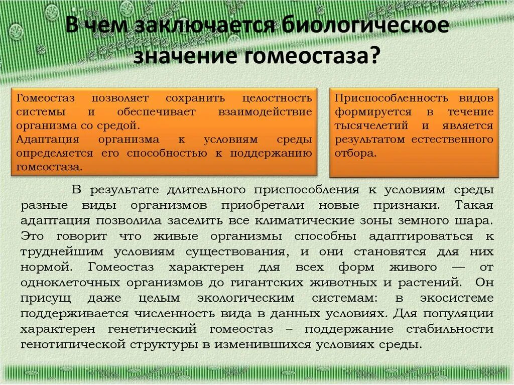 Условие необходимое для поддержания жизни. Биологическая сущность гомеостаза. Биологическое значение гомеостаза. Механизмы гомеостаза организма. Примеры гомеостаза в организме человека.