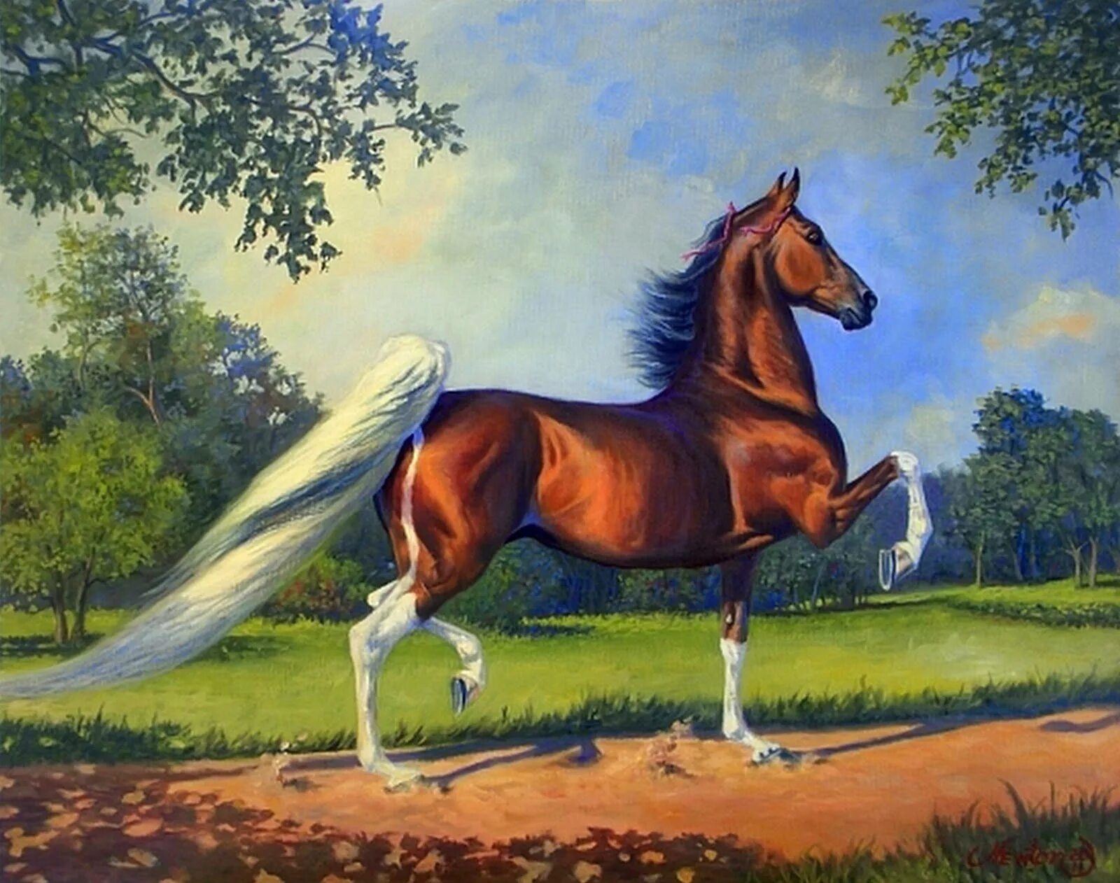 Американская верховая лошадь. Лошади в изобразительном искусстве. Открытки с лошадьми. Конь красивая иллюстрация.