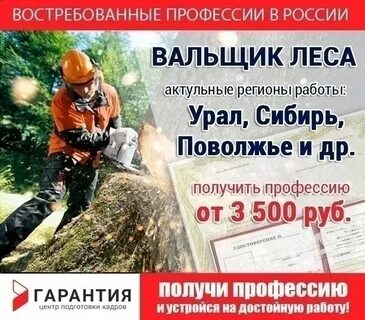 Работа вальщиком леса вахтовым