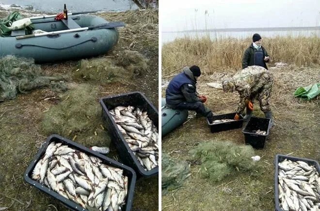 Наказание за ловлю. Сеть для рыбалки. Штраф за рыбалку сетями. Рыбнадзор. Штрафы за браконьерство 2021 рыбалка.