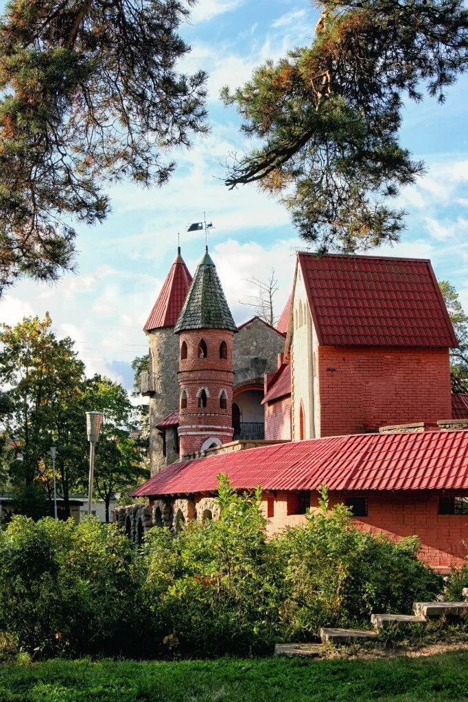 сосновый бор ленобласть. сосновый бор ленинградская область. город сосновый бор ленинградская область. санкт сосново. сосновый бор на карте спб.