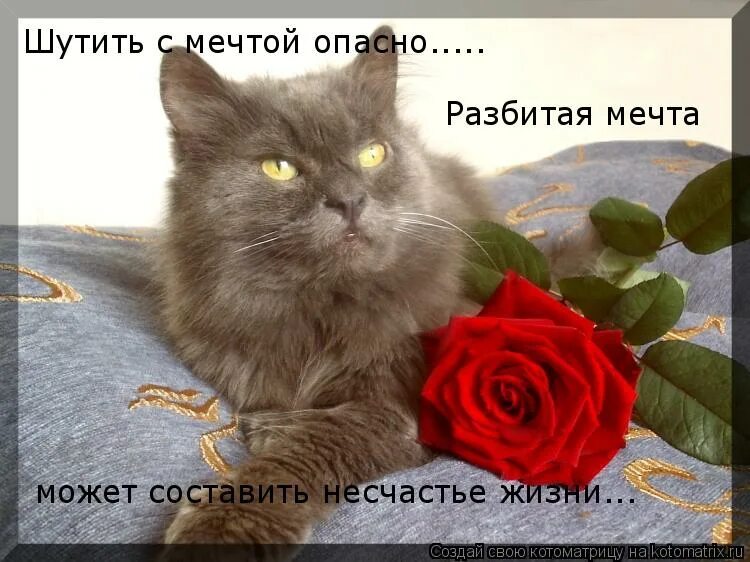 Это радует что делаете. Это радует что делаете. Самое главное правило в жизни. Чем это вы сейчас заняты?. Это радует что делаете.