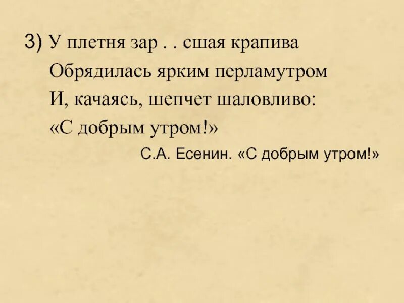 Обрядилась ярким перламутром. Крапива Обрядилась ярким перламутром. Крапива Обрядилась перламутром как понять. У плетня заросшая крапива Обрядилась ярким. Заросшая крапива обрядилась