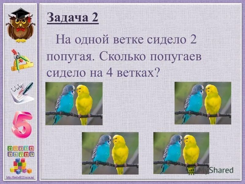 в большой клетке попугаев в 2 раза больше. придумай и реши задачу с вопросом сколько попугаев в 2 клетках. задание про попугайчиков. задача про попугаи разных цветов. волнистый попугайчик голубой.