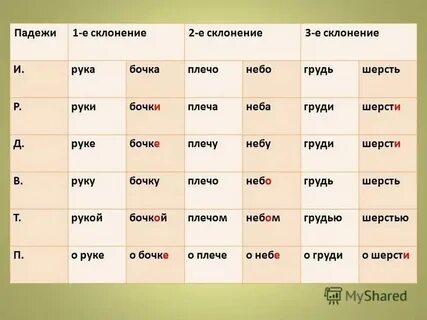 В растущем по дороге кустарнике падеж