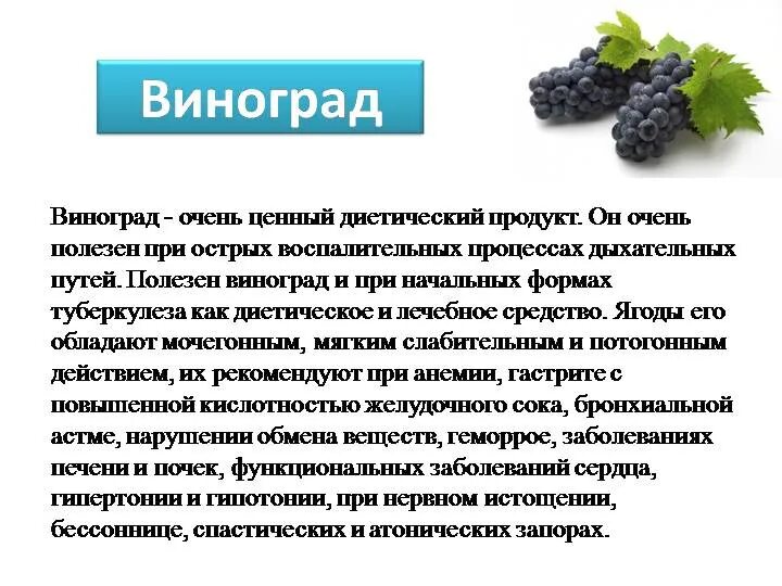 Голубой виноград. Полезные вещества в винограде. Калорийность сортов винограда. Виноград бристоль мускат. Дикий синий виноград.