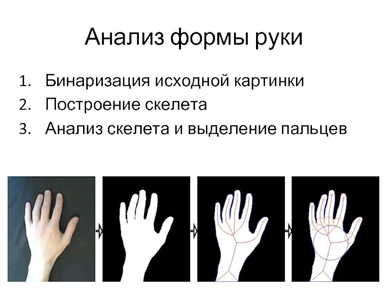 Форма ладони. Человек в форме что в руках. Различные формы рук. Распознавание по форме руки.