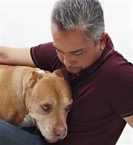 Pitbull daddy. Pitbull daddy