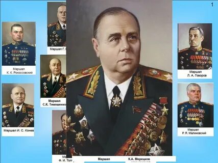 Маршал мерецков
