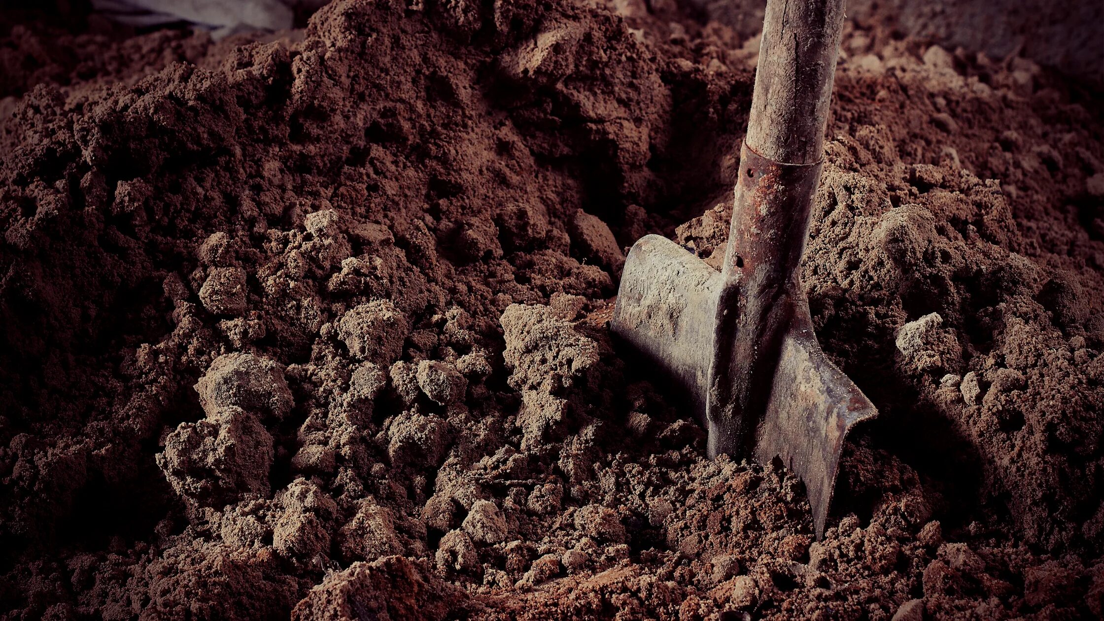 Digging holes. Лопата в земле. Лопата вкопанная в землю. Лопата для грунта.