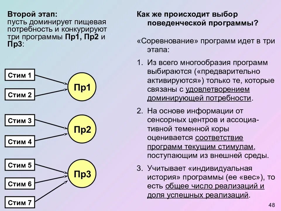 Где происходили выборы. Как происходят выборы. Как происходит. Запуск поведенческой программы мозг.