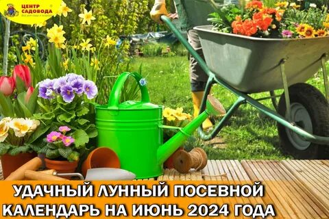 Посевной календарь садовода на июнь 2024