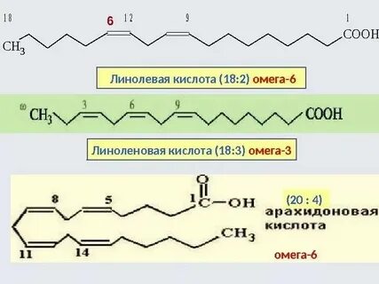 Линолевая кислота связи