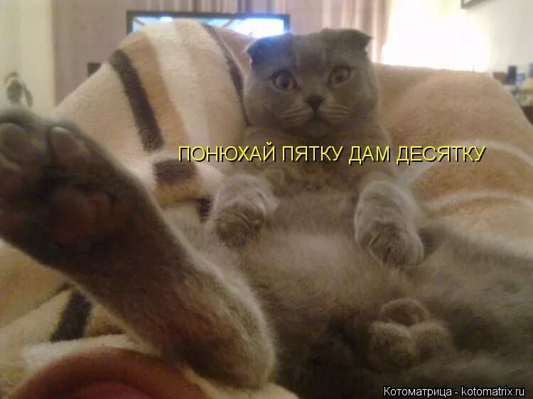 Привет бро мем. Дай пятку. Мем понюхай пятку. Дай пятку. Мемы про пятку.