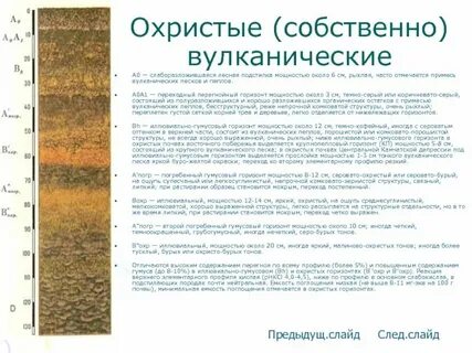 Какие территории относятся к горным