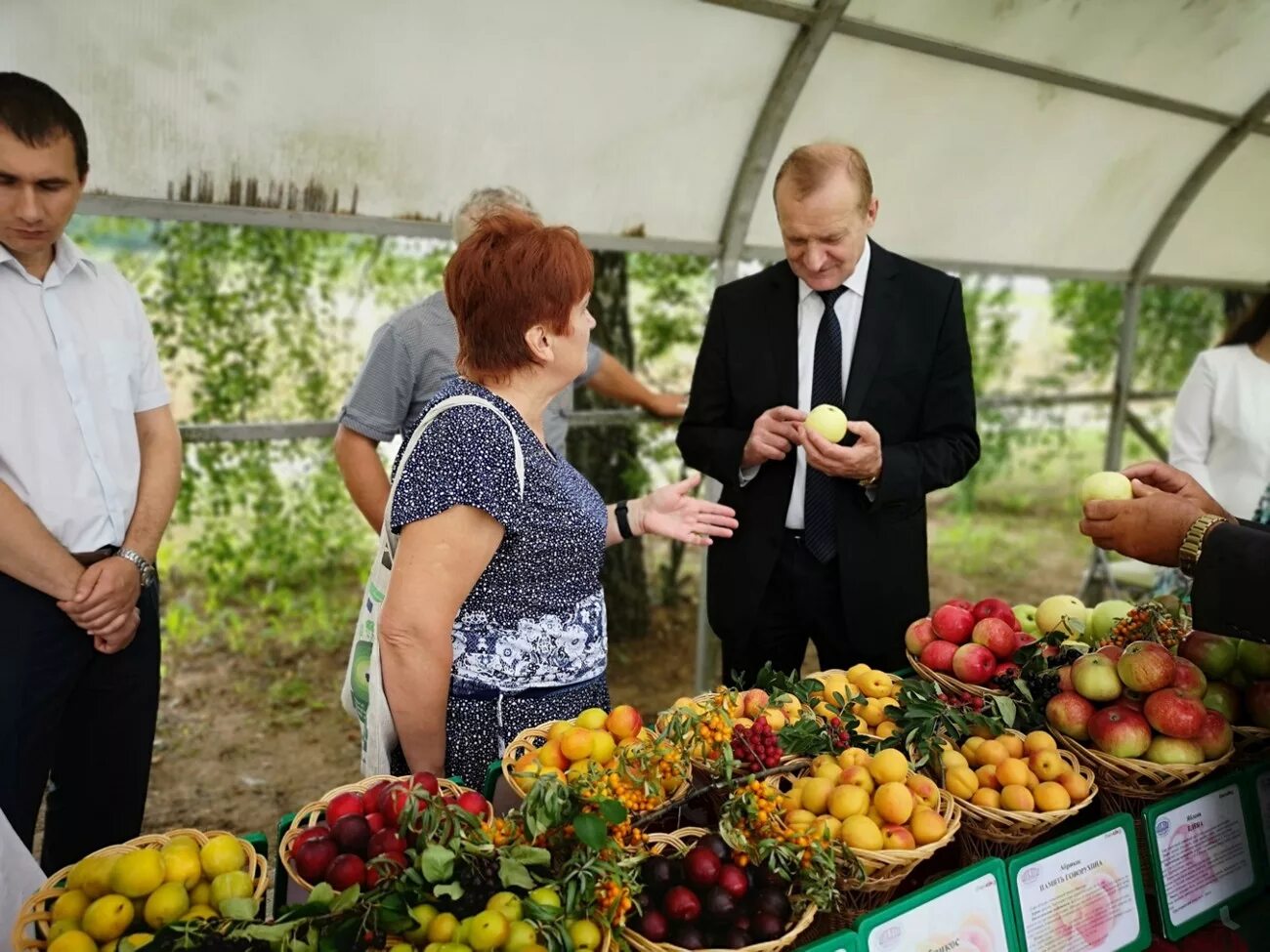 Плодопитомник Самохваловичи. РУП "институт плодоводства". Институт овощеводства Самохваловичи. Самохваловичи магазин саженцев.