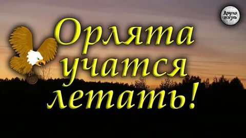 Орлята учатся летать современная