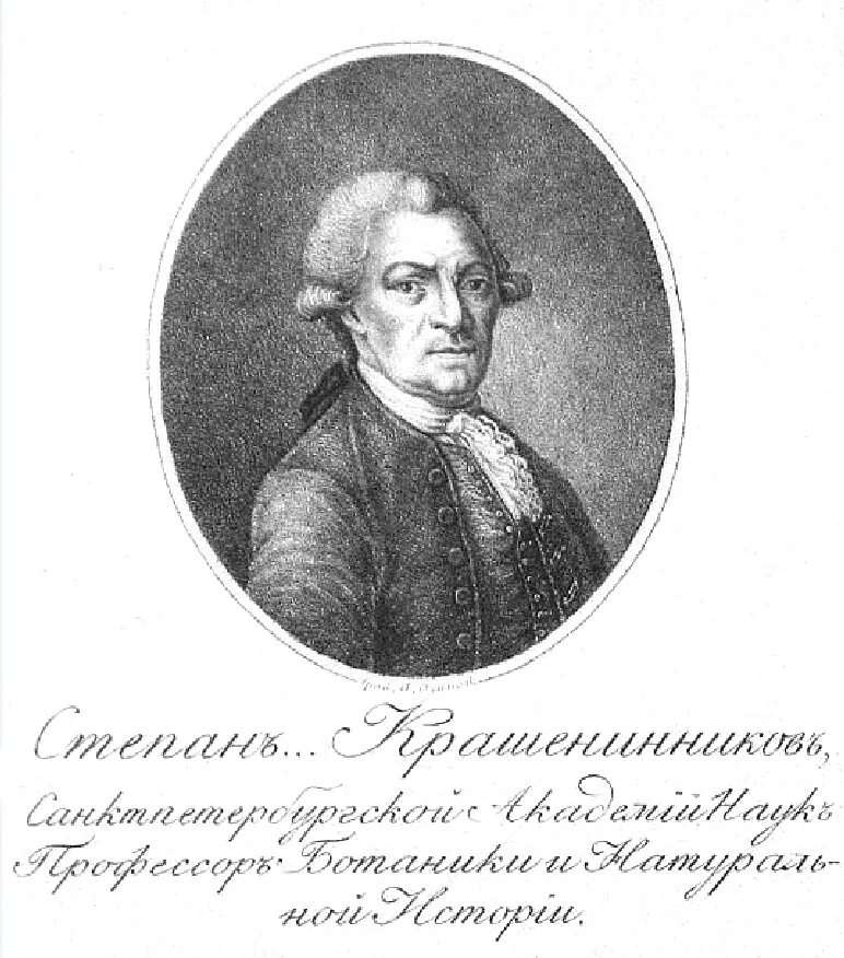 С.П. Крашенинников (1711-1755). Экспедиция крашенинникова