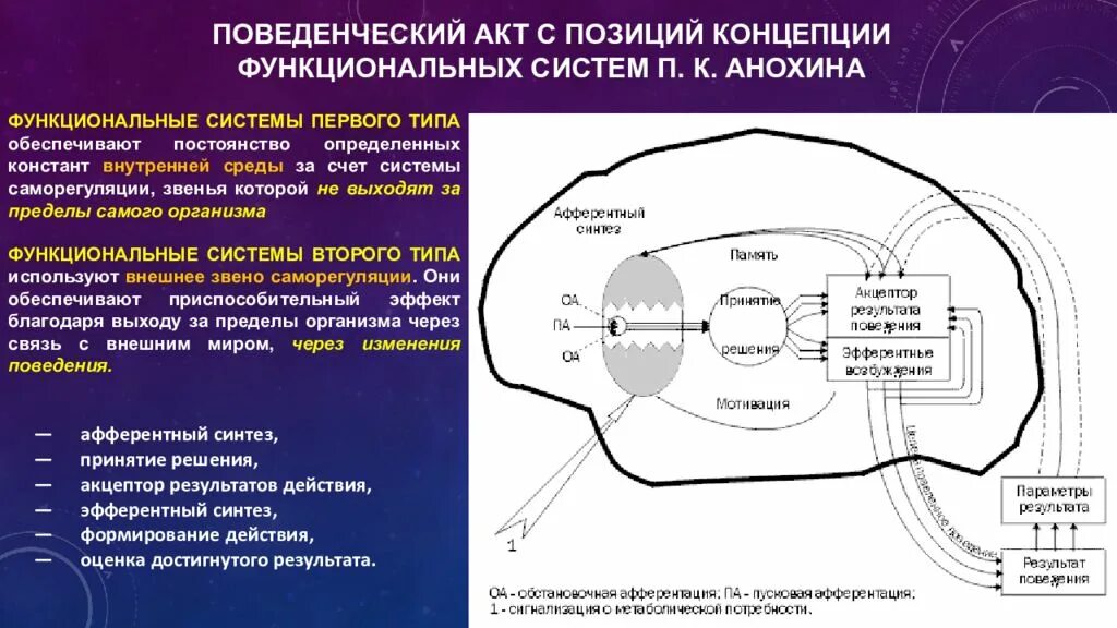 Функциональная структура поведенческого акта по п.к.Анохину. Анохин структура поведенческого акта. Анохин схема поведенческого акта. Структурная организация функциональной системы поведенческого акта.