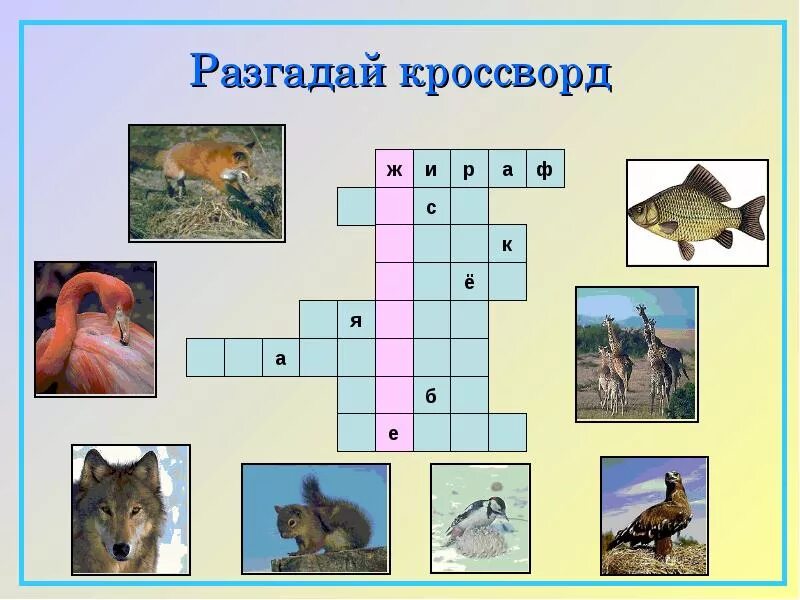 Кроссворд про окружающий мир. Крассводна тему животные. Кроссворд. Кроссворд про животных. Кроссворд на тему животные.