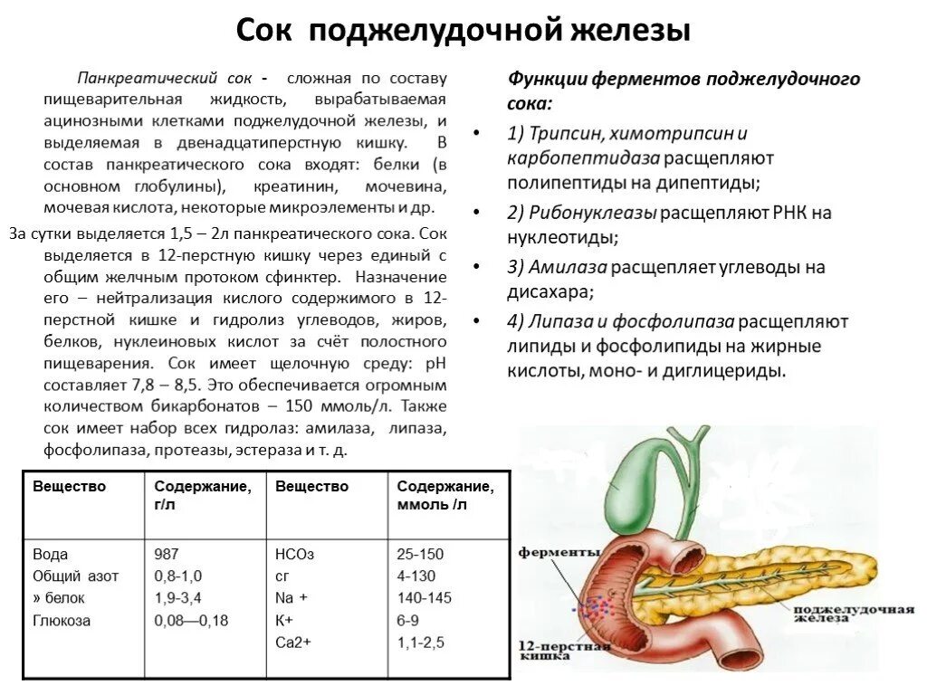 Железа печень вырабатывает. Состав пищеварительного сока поджелудочной железы. Пищеварительный сок, железы двенадцатиперстной кишки. Охарактеризуйте пищеварительные ферменты сока поджелудочной железы. Поджелудочная железа состав поджелудочного сока.