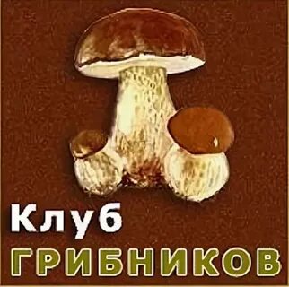 Грибной окончание