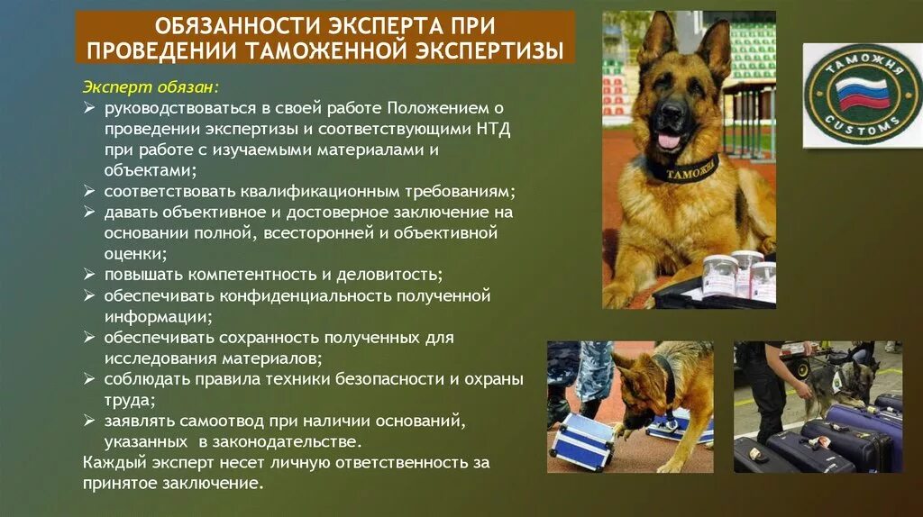 Порядок проведения экспертизы виды экспертиз. Полномочия эксперта при проведении экспертизы. эксперт обязан. этапы проведения таможенной экспертизы. обязанности эксперта при проведении экспертизы.