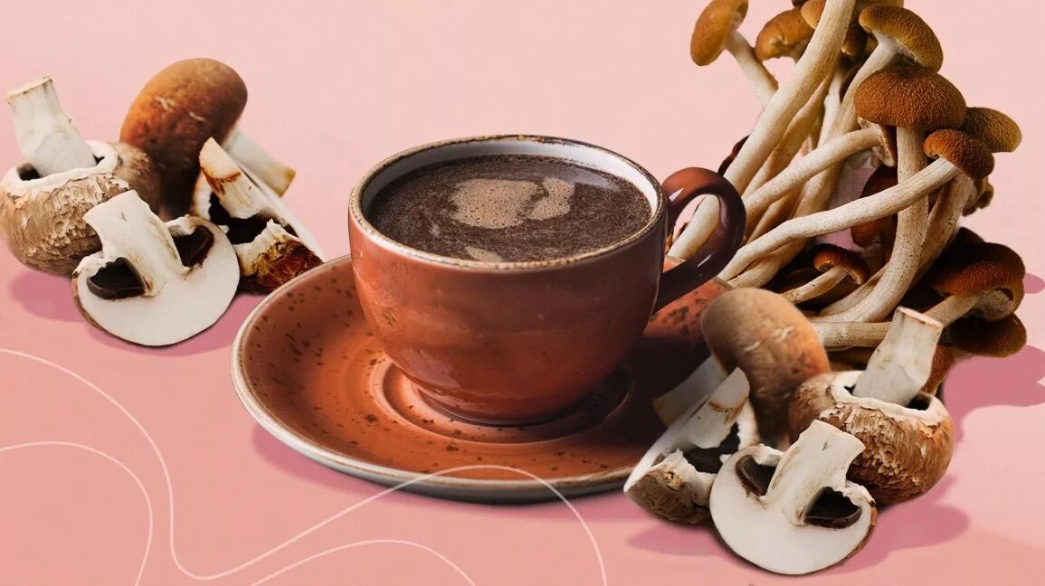 кофейный гриб. кофе из грибов. кофейный гриб. кофейный гриб. торт чашка кофе.