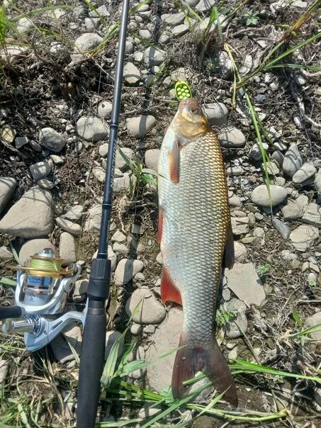 Рыбалка на томи. Рыбалка на томи юрга. Рыбалка на томи зимой. Рыбалка на томи в зеленогорске. Томь в юрге.