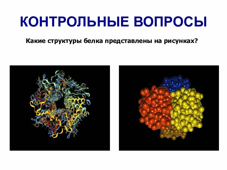 Сложные белки состав. Простые и сложные белки. Строение простых белков протеинов. Строение белков простые и сложные. Простые и сложные белки биология.