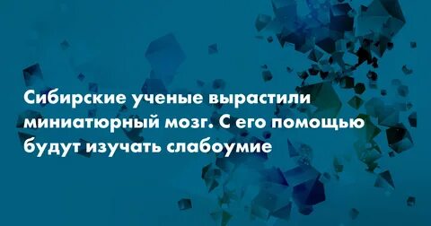 Новосибирск головного мозга