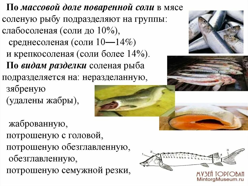 Группы соленой рыбы. По содержанию соли рыбу подразделяют на. Классификация соленой рыбы. Соленая рыба разновидности. Солоноватые рыбы виды.