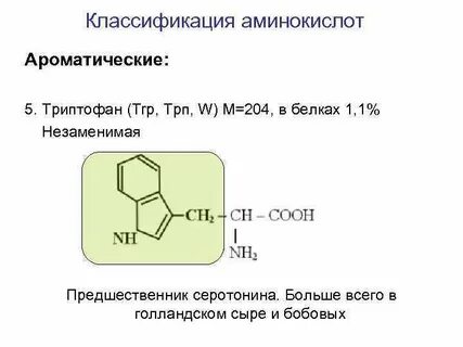 Аминокислота триптофан