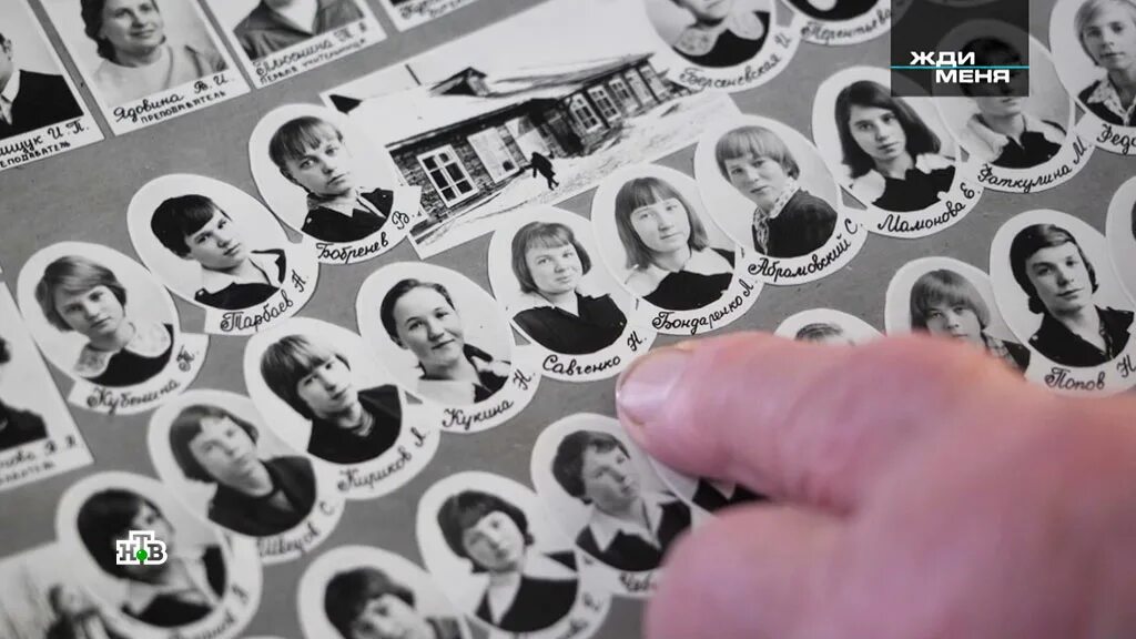 Программа ищу тебя. Программа жди меня. Жди меня поиск. Жди меня поиск людей по фамилии. Найди программу жди меня.