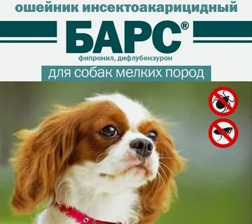 Ошейник для собак от клещей какой выбрать