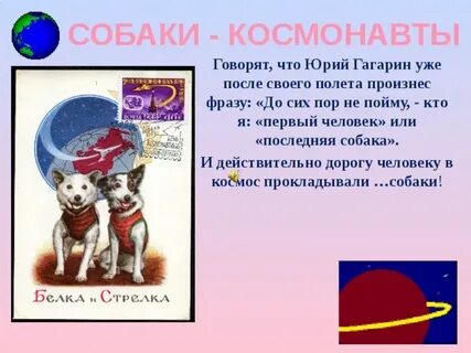 Клички собак побывавших в космосе