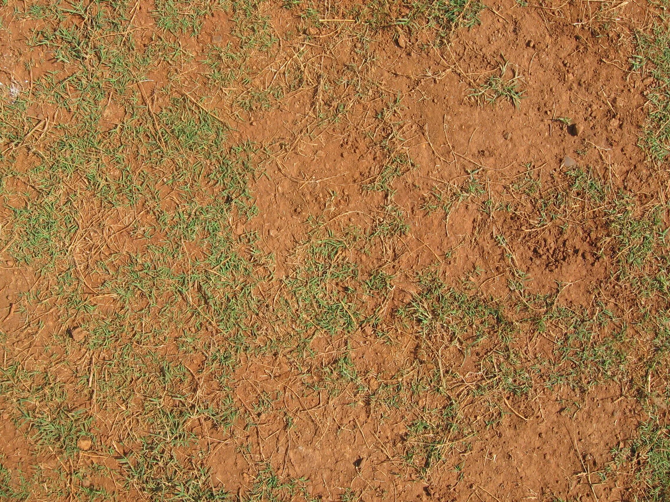 Dirt coloured