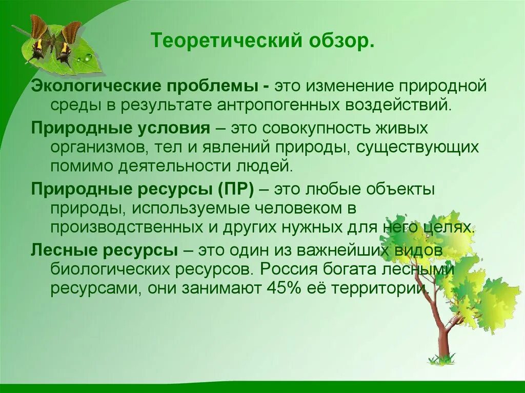 Помимо лесных богатств предложение