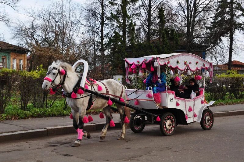 конюшня суздаль. суздаль кареты с лошадьми. суздаль конные прогулки. конный экипаж суздаль. суздаль кареты.
