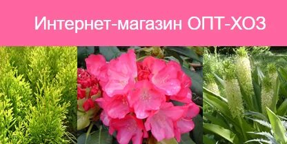 Опт хоз