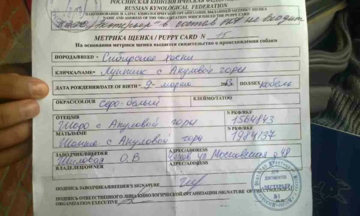 Щенячку на родословную