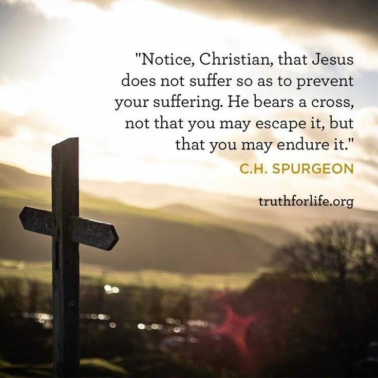 Be cross with