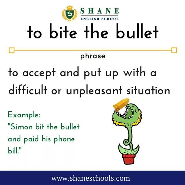 Идиома bite. Bite the Bullet идиома. Bite the Bullet перевод. Bite the Bullet examples. Современные английские идиомы bite the Bullet.