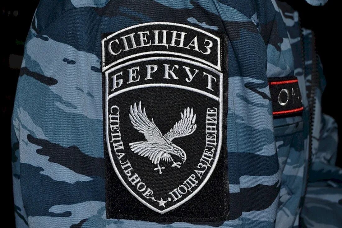 Номер беркута. Беркут эмблема. Номер беркута. Беркут спецподразделение. Беркут спец 19.